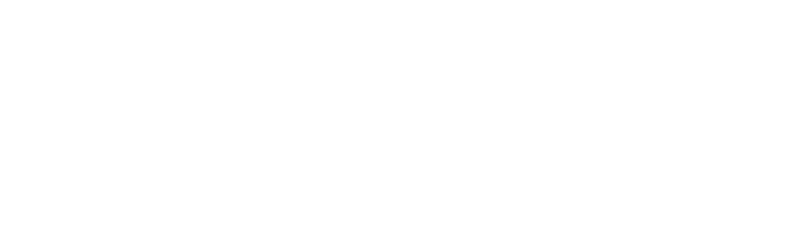 logo light